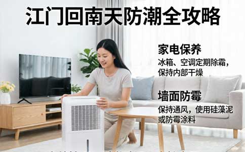 江门回南天防潮全攻略：从家电保养到墙面防霉的实战技巧